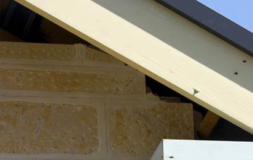 soffit repair Low Fold